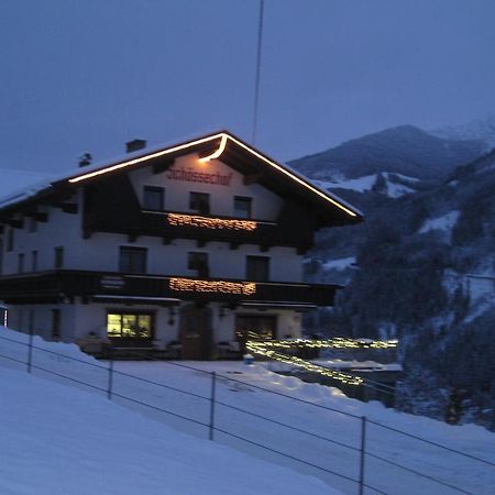 齐勒河谷采尔Schoesserhof别墅 外观 照片