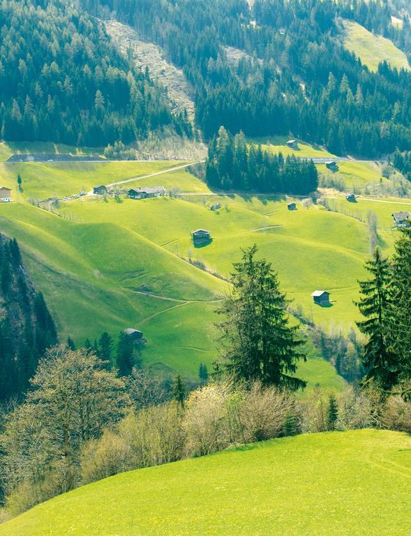 齐勒河谷采尔Schoesserhof别墅 外观 照片